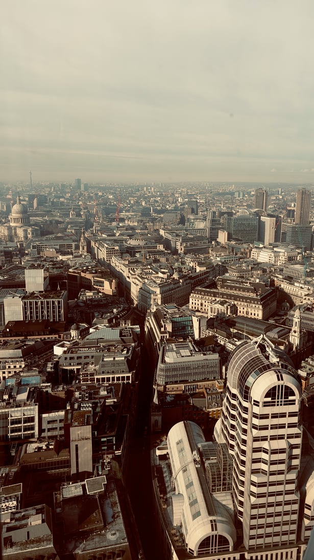 Established Businesses